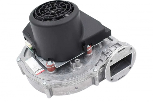 white-Photoroom (13)