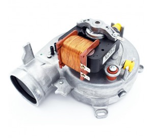 data-0011-0020020008.a-1-300x270