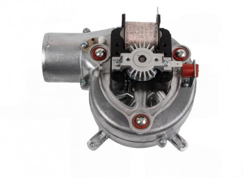 DeWatermark.ai_1757593810053